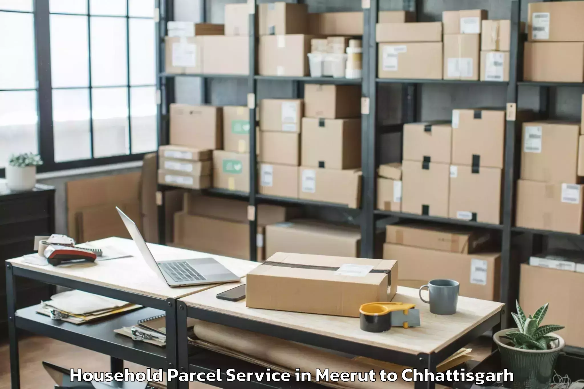 Top Meerut to Kalinga University Raipur Household Parcel Available